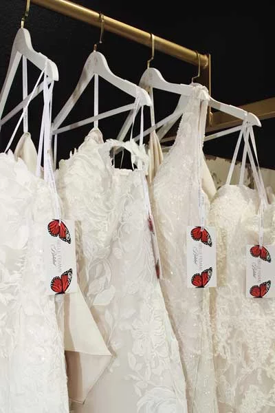 collections - bridal dresses